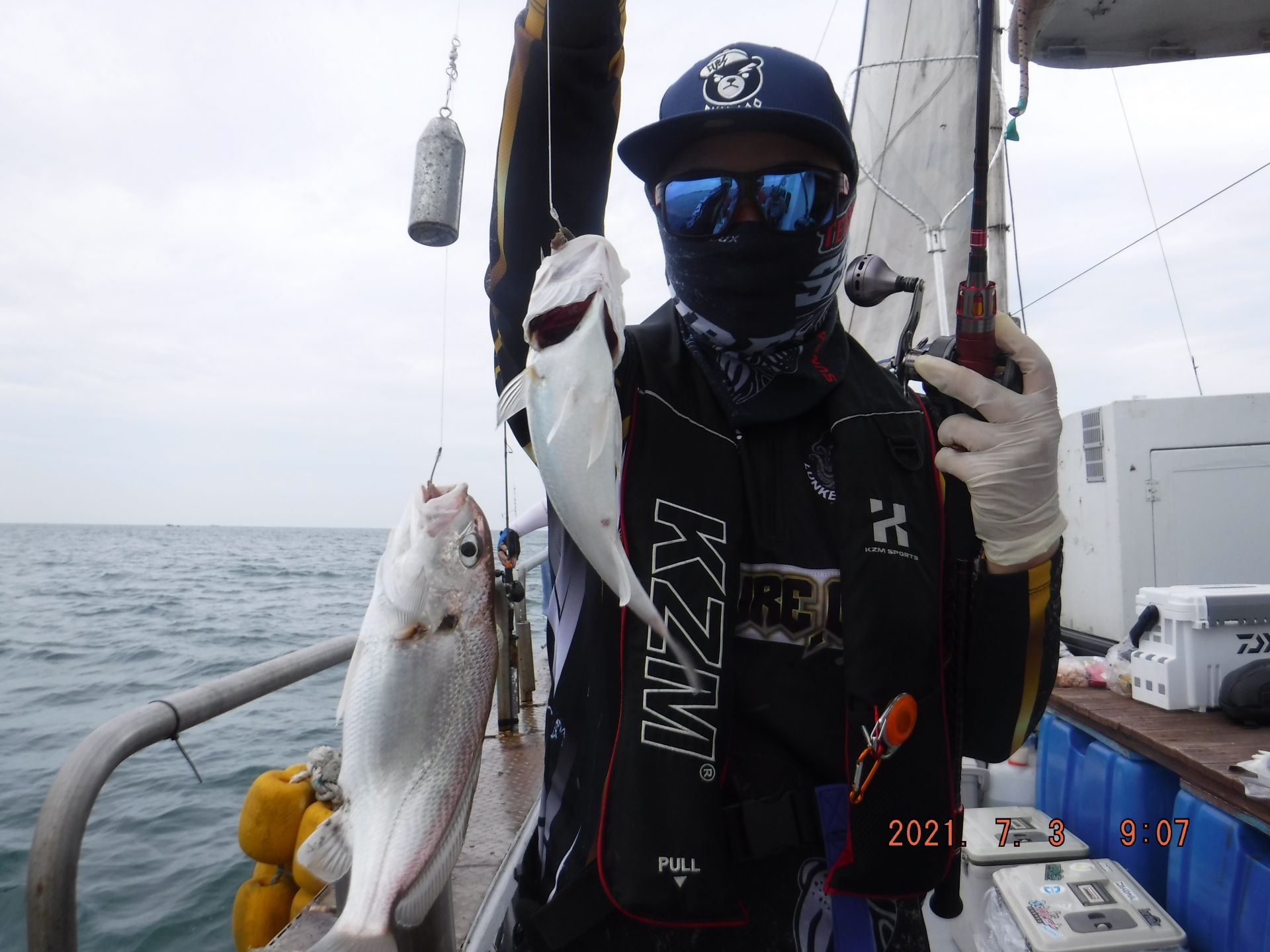 7월3일 백조기조황