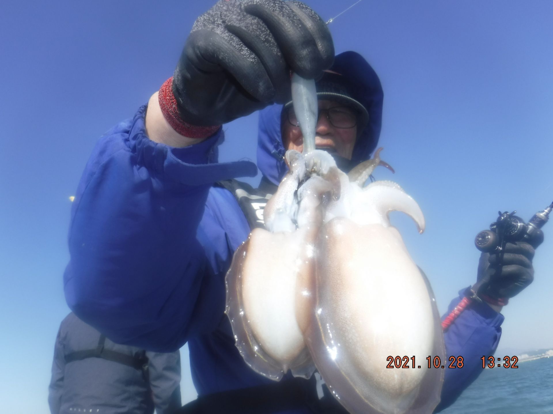 10월28일 갑오징어