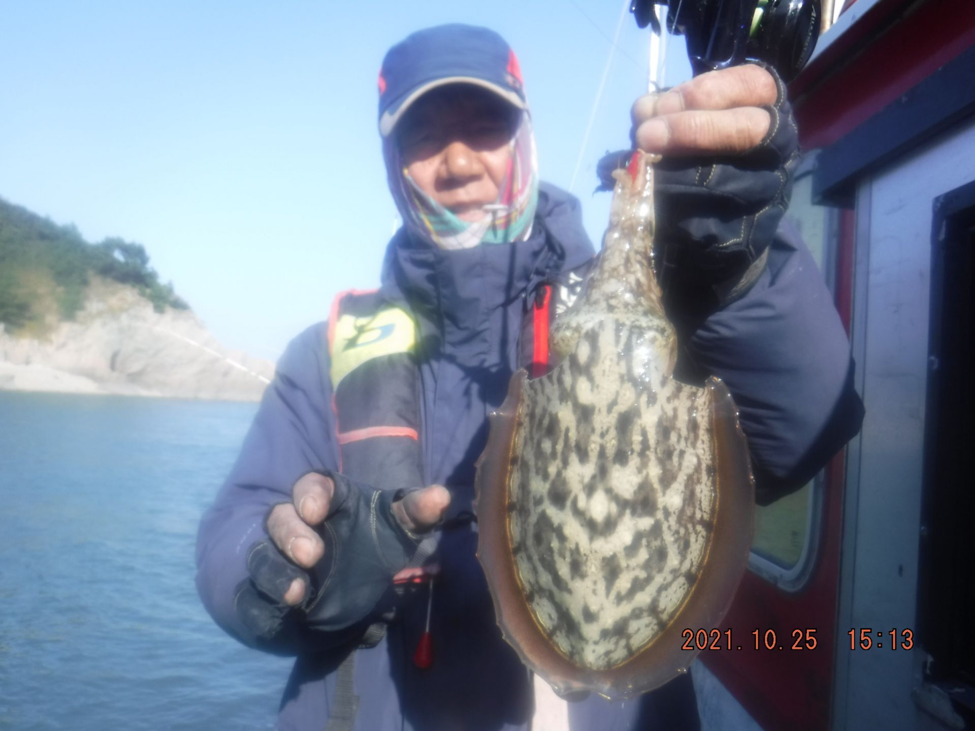 10월25일 갑오징어