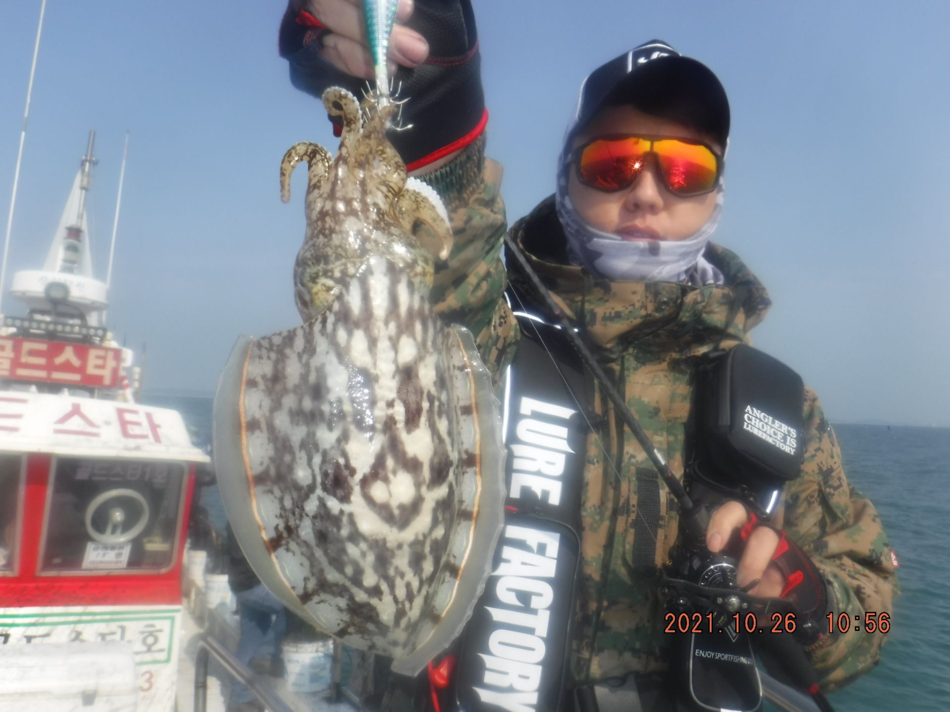 10월26일갑오징어