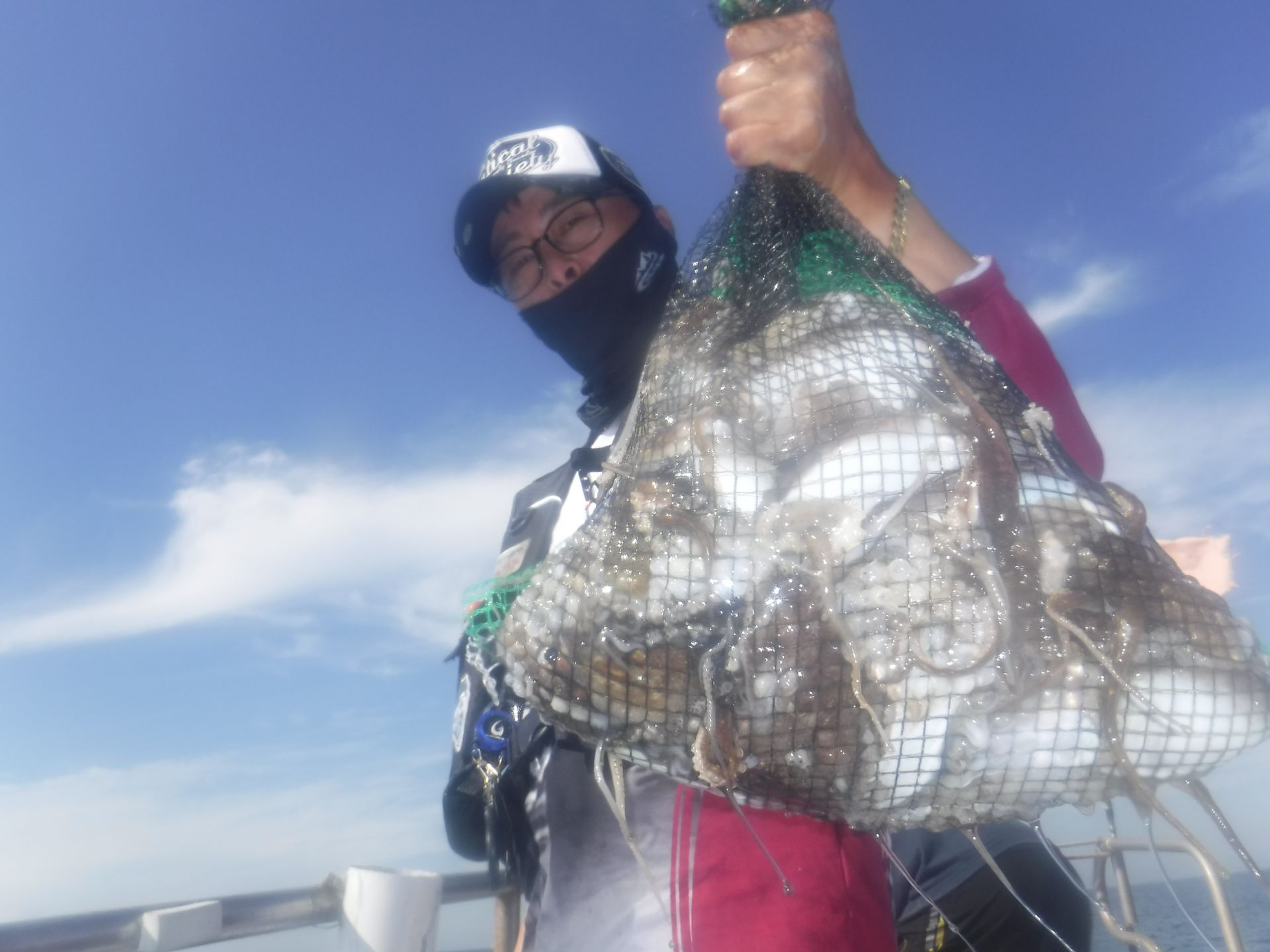 9월9일 주꾸미조황