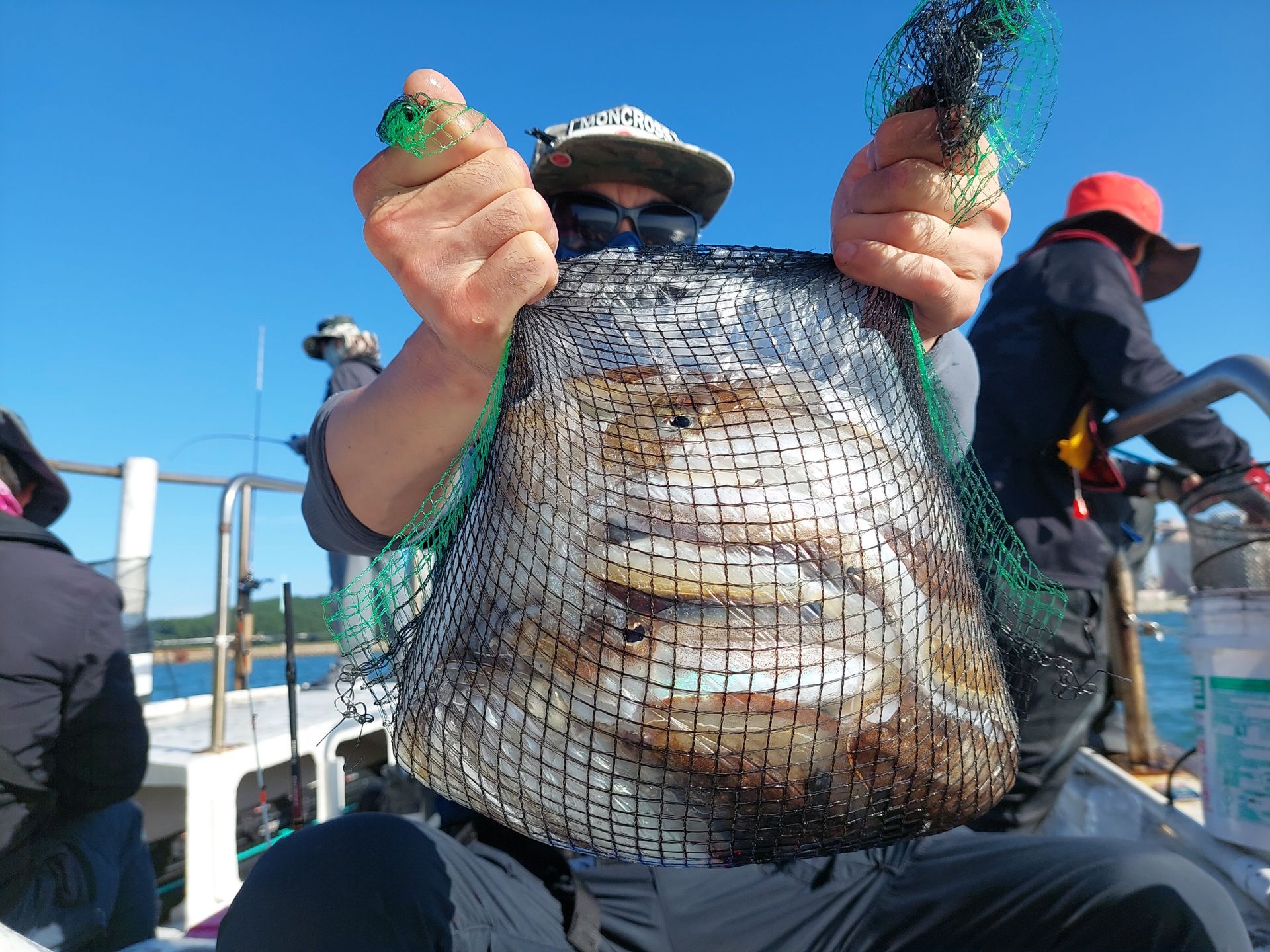 홍원항  골드스타1호 갑오징어 조황 입니다